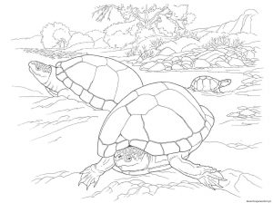 Read more about the article Desenhos de tartarugas para download 14